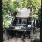 Buchanan Land Use Consulting (BLUC)